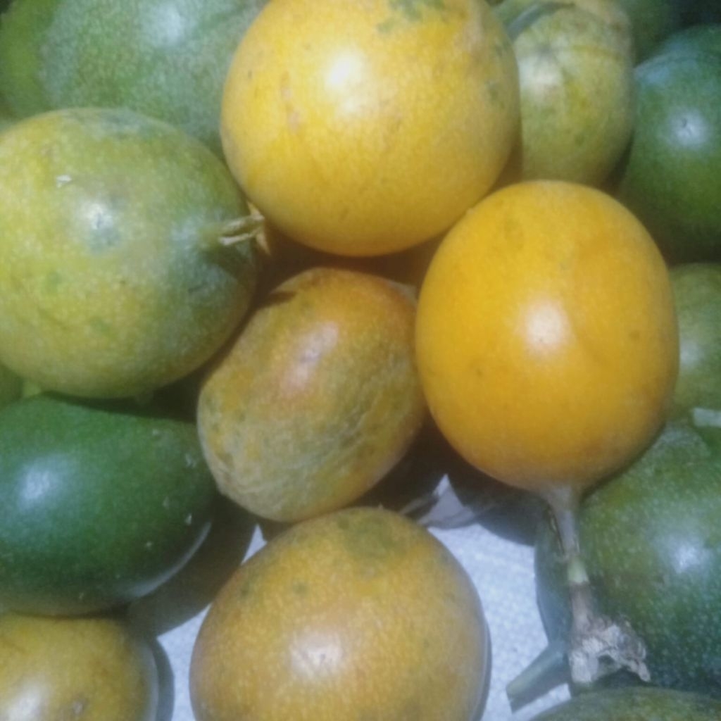 

jual 1 kg buah markisa madu /konyal madu super manis dan segar marasi