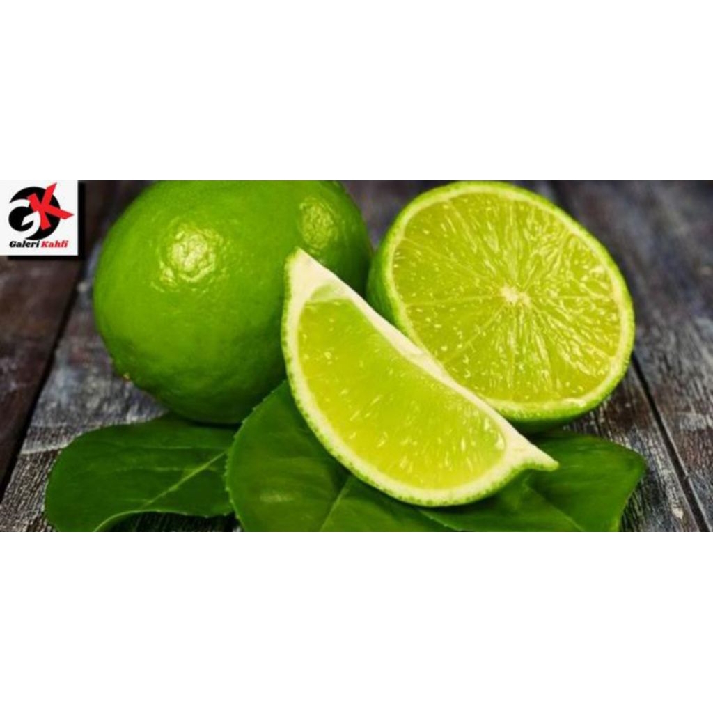 

Jeruk Nipis Segar Berkualitas Grade A _ 500gr