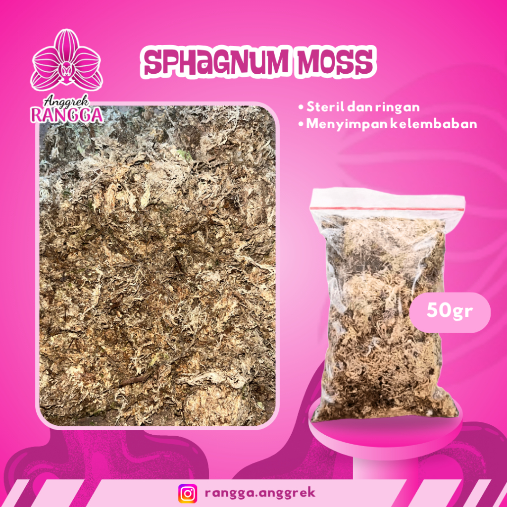 MEDIA ANGGREK BULAN | SPAGNUM MOSS PUTIH IMPORT TAIWAN