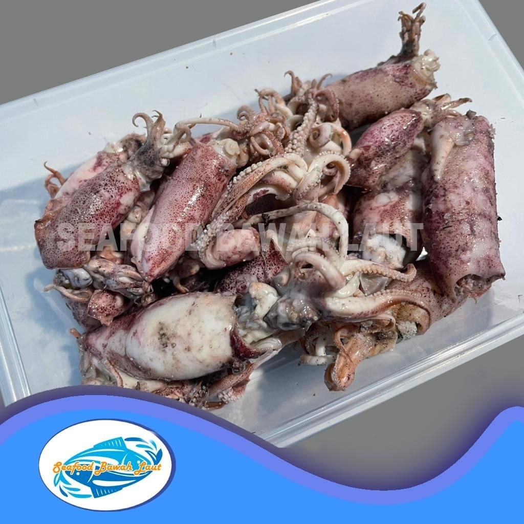 

Cumi Asin (500gr & 250gr)