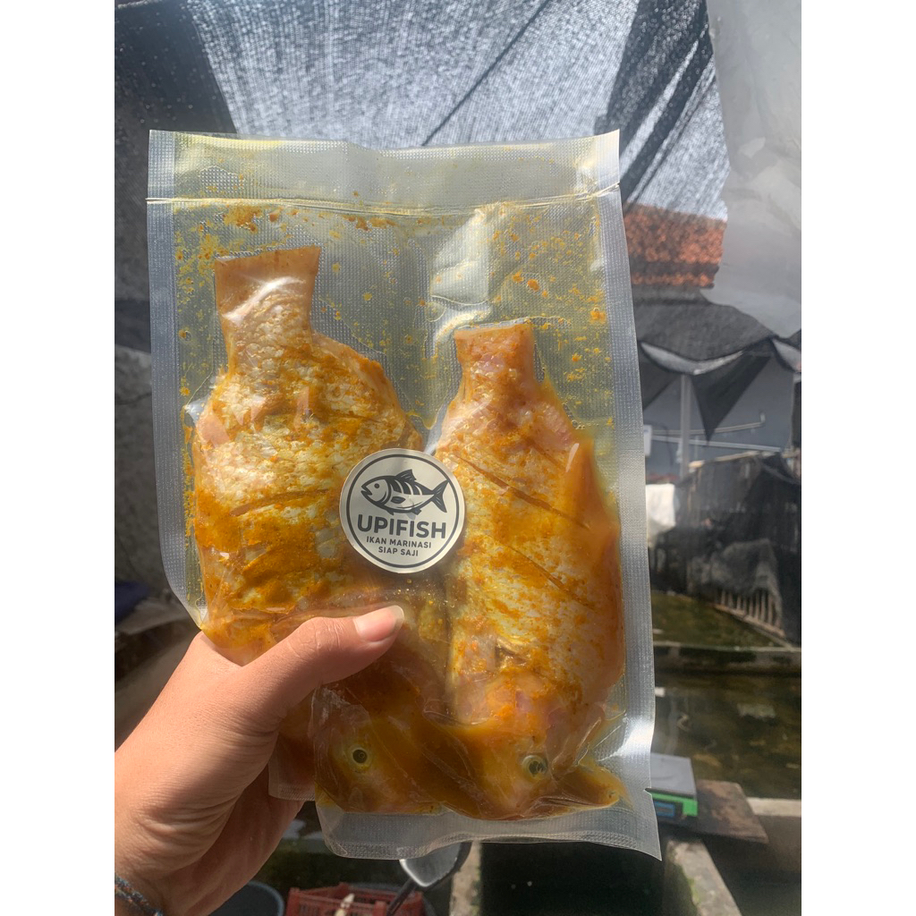 

IKAN NILA MARINASI