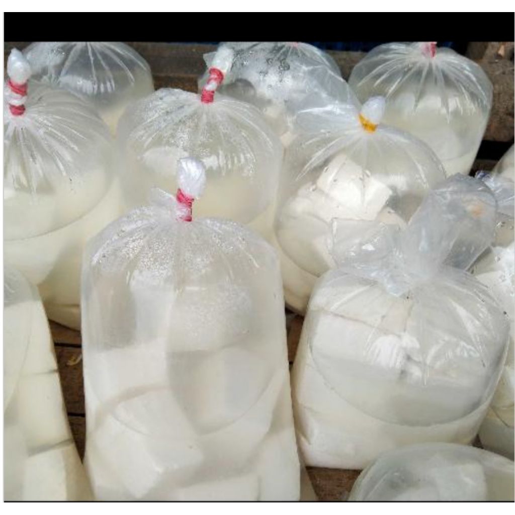 

tahu kemasan plastik