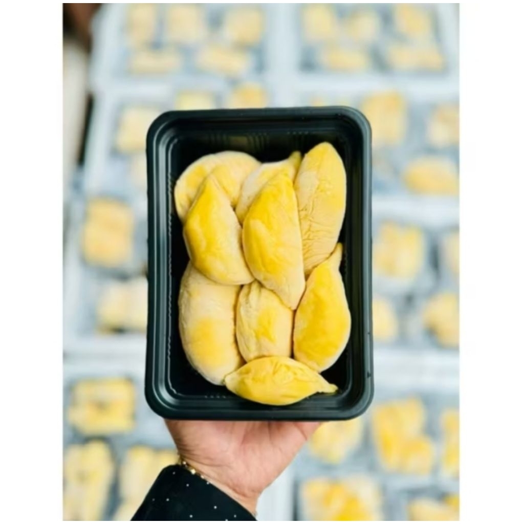 

Durian Musangking D21 Pahang Asli Malaysia || Durian Premium Grade A Kualitas import || Durian (Vakum) Netto 400 Gram