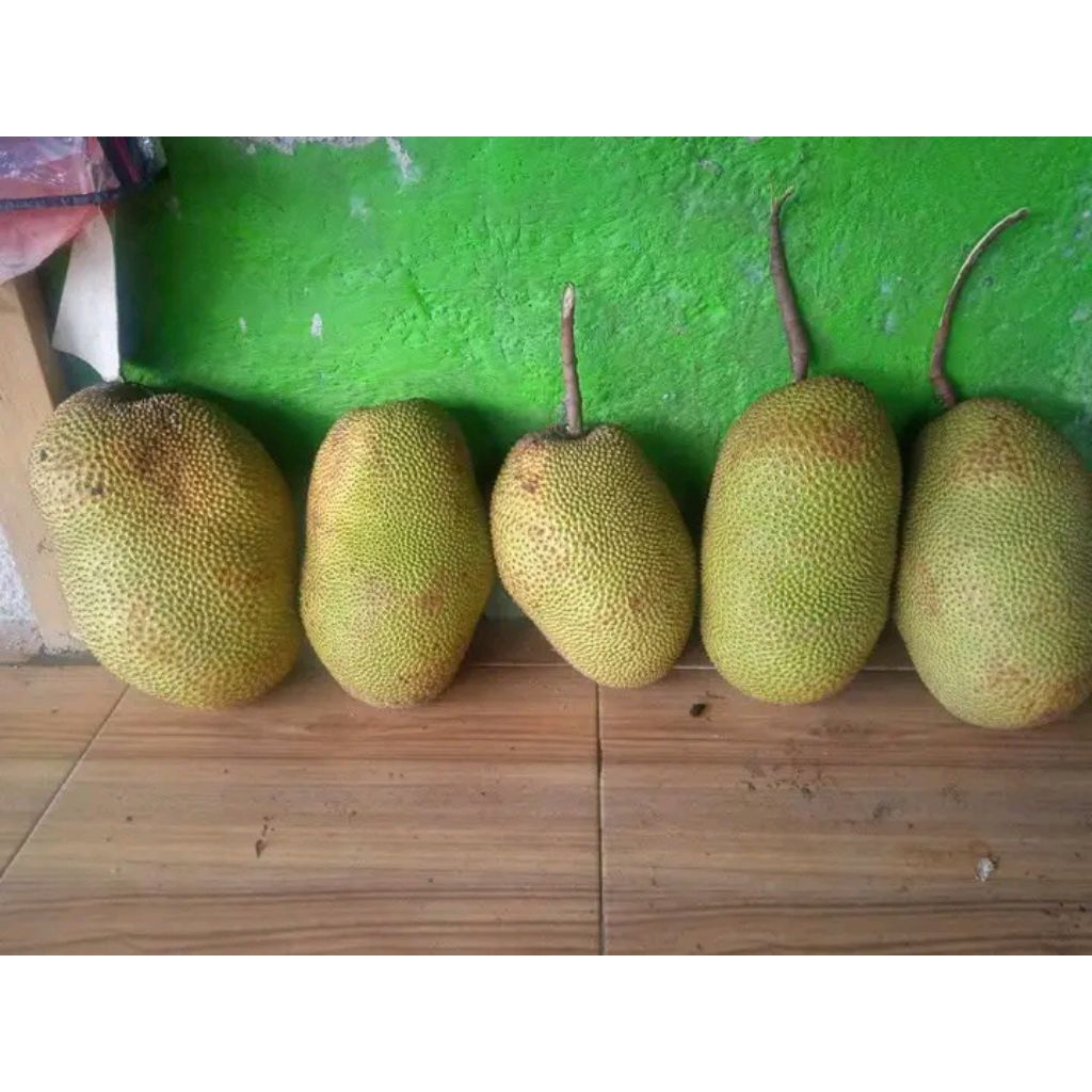 

nangka madu utuh