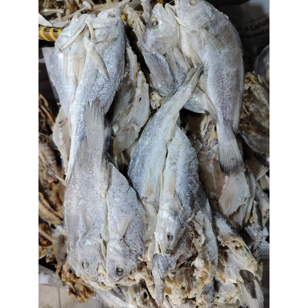 

Ikan Asin Kepala Batu Belah / Samge / Gulama Belah