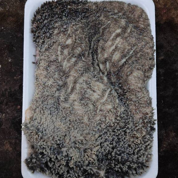 

Babat Sapi dan Usus/Iso Sapi Fresh 500gr-1Kg