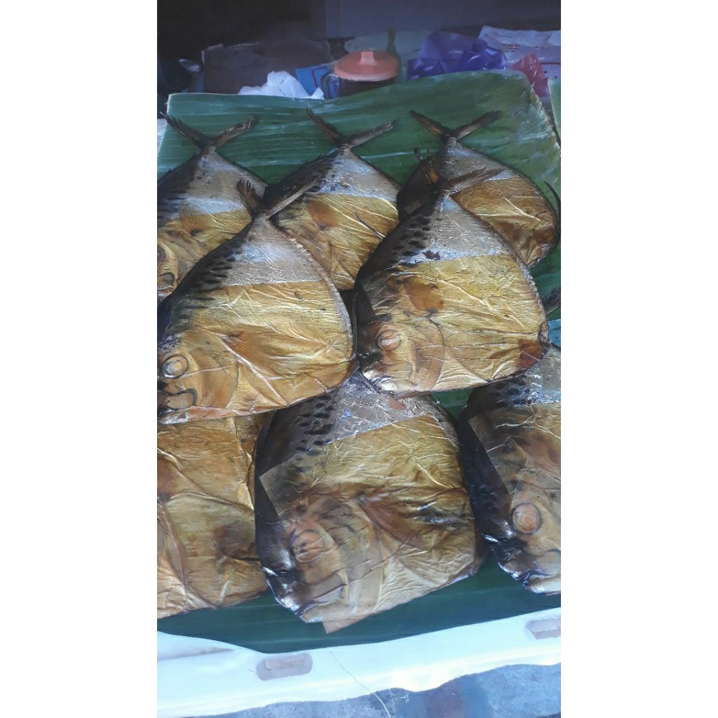 

ikan ani2 /semar ukuran sedang 1 pak isi 5 ekor