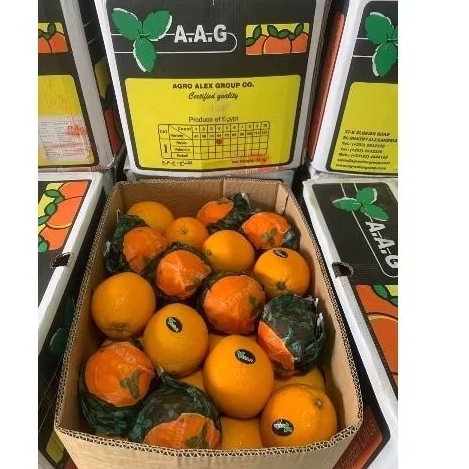 

Jeruk Sunkist Navel AAG