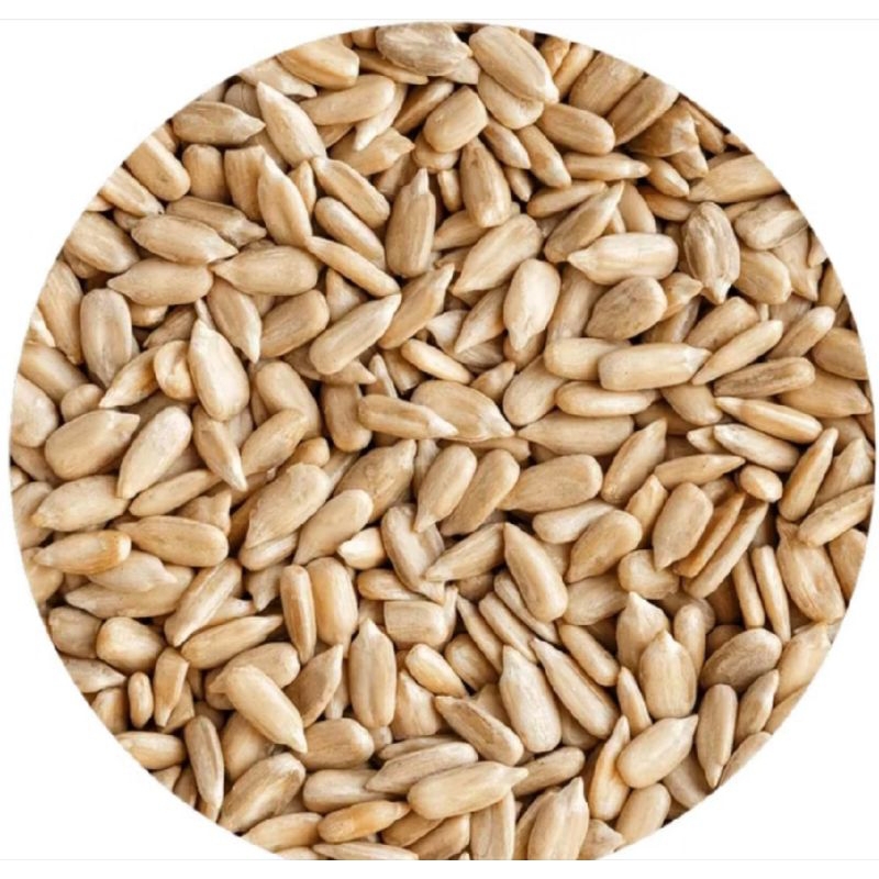 

BIJI KUACI MENTAH 100 GR
