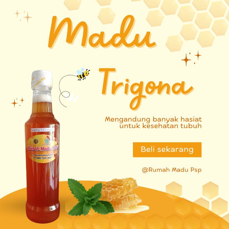 

Madu Trigona 450 Gram