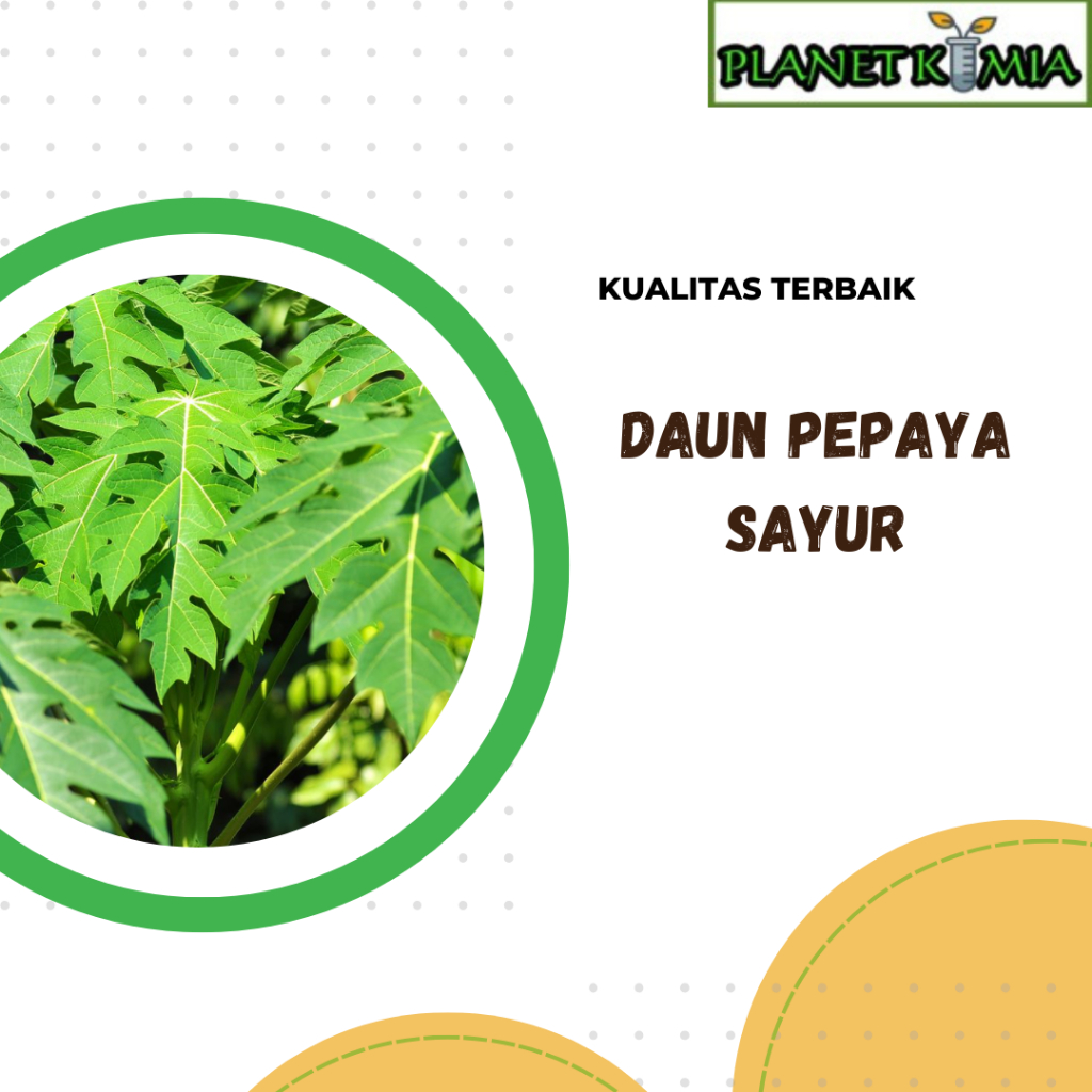 

dried,serbuk daun pepaya best product