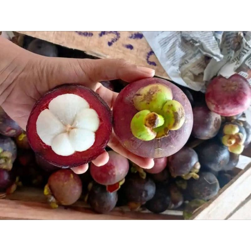 

INSTAN - MANGGIS 1KG