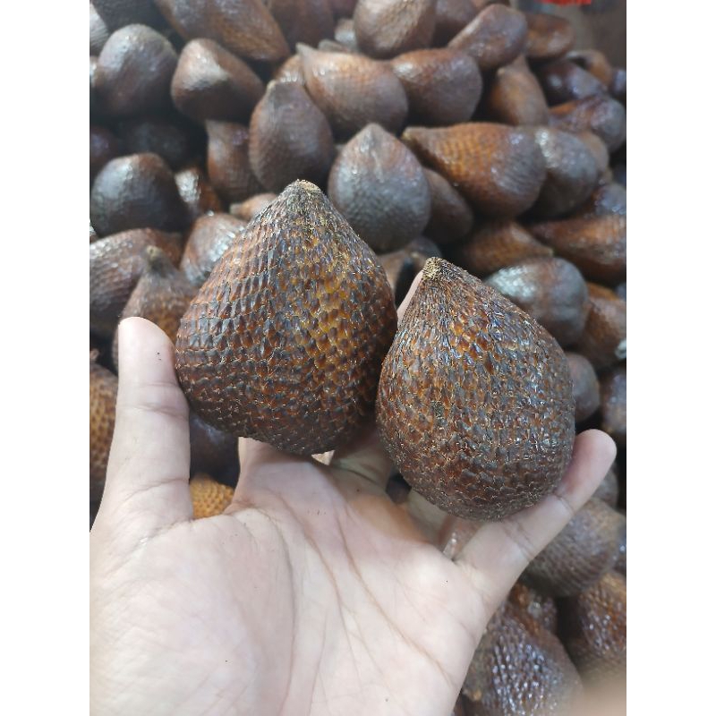 

INSTAN - SALAK PONDOK 1KG FRESH