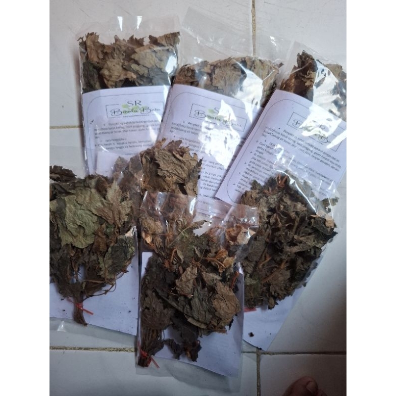 

Daun benalu asli 100%