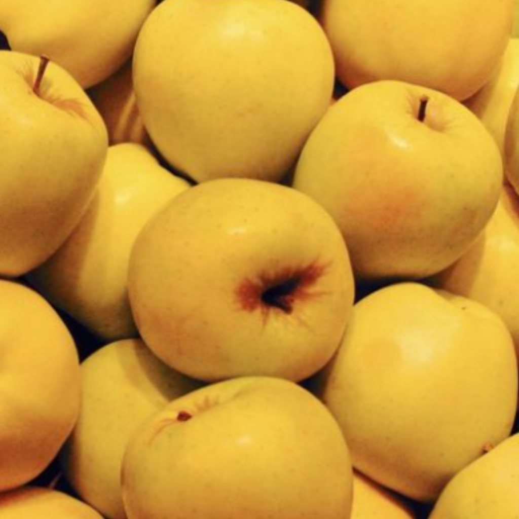 

Apel Yellow Segar 500gr | Apel Import Langka | Apel Unik | Buah Segar Cikarang