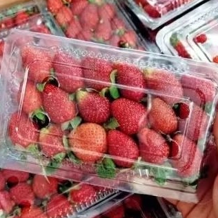 

strawberry segar 1pck 250gram