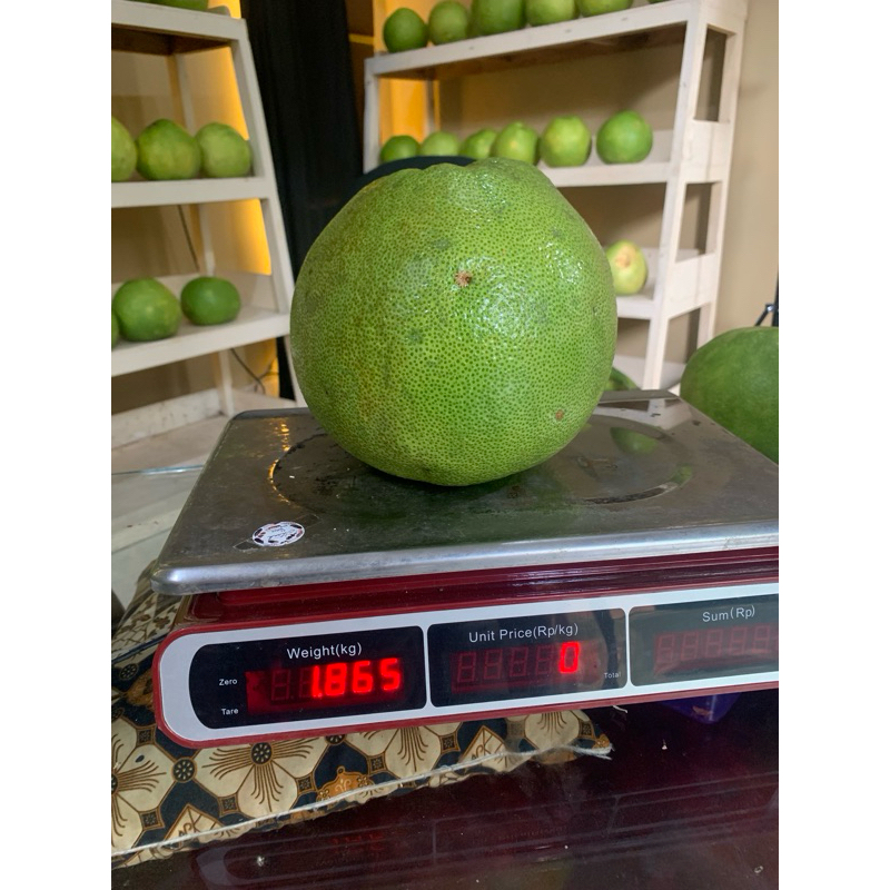 

jeruk,Bali,manis,pamelo1,8kg