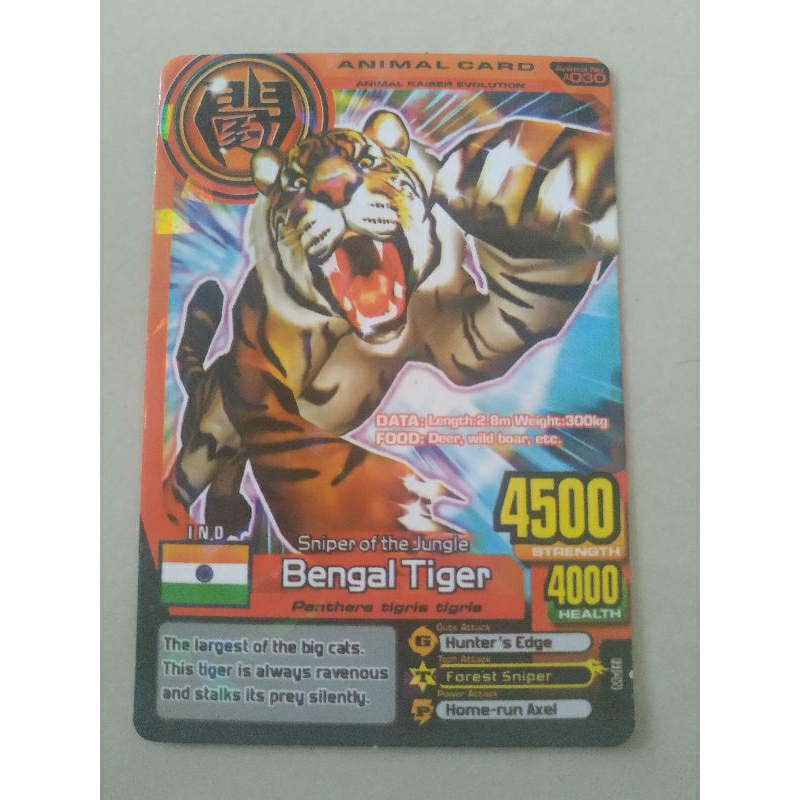 kartu animal kaiser bengal tiger