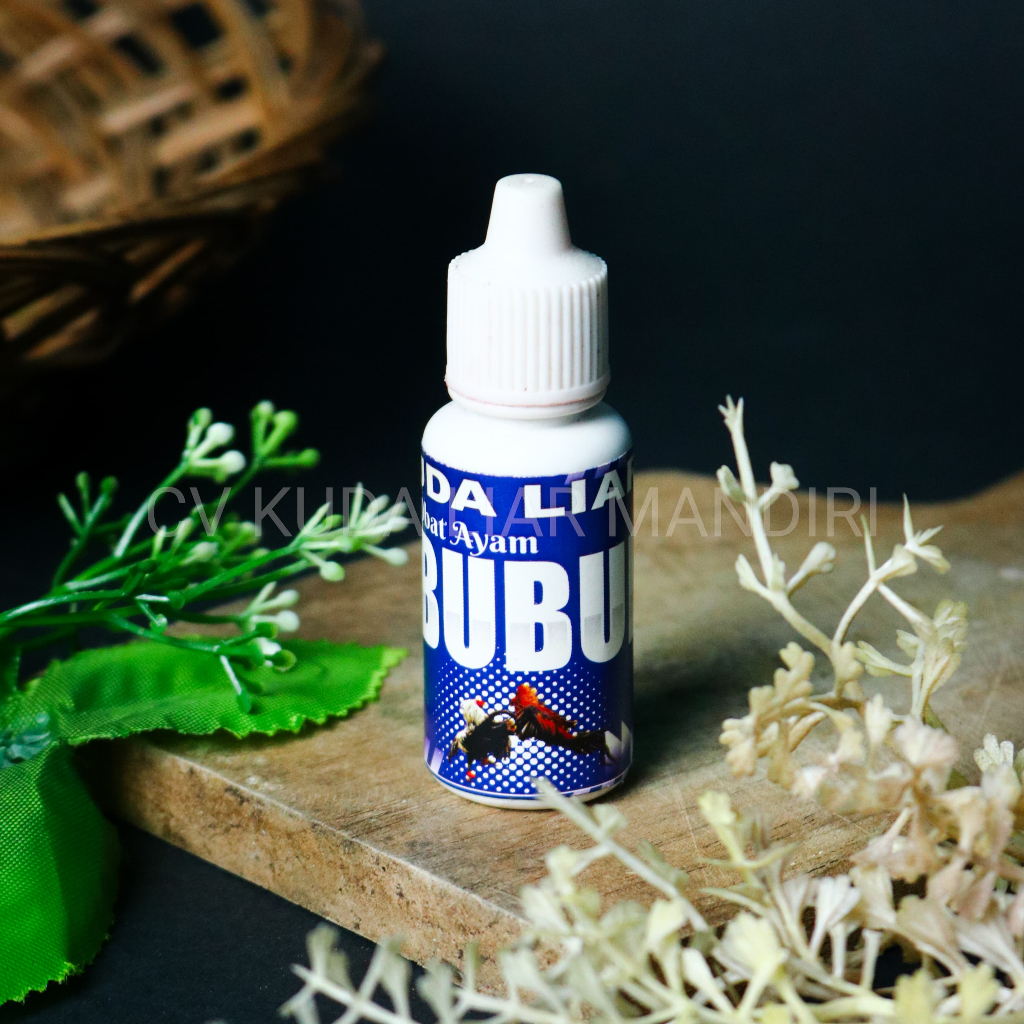 Obat Bubul AYam Khasiat Menyembuhkan Kaki Bubul Pada Ayam || Kuda Liar Obat Bubul Ayam