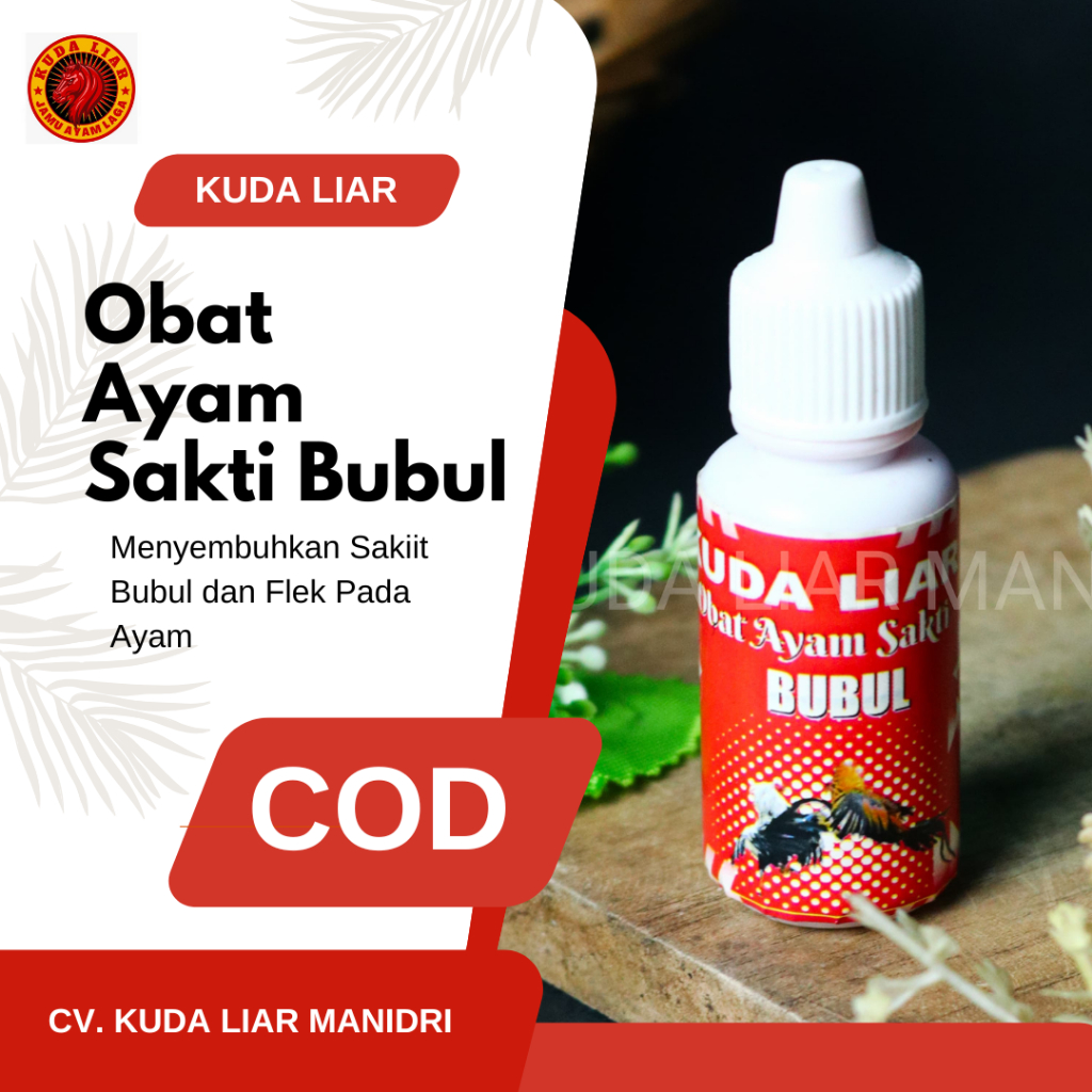Obat Bubul AYam Khasiat Menyembuhkan Kaki Bubul Pada Ayam || Kuda Liar Obat Bubul Ayam