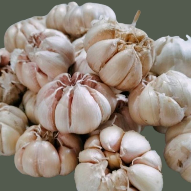 

BAWANG PUTIH SEGAR BERKUALITAS TERBAIK 500gr,1kg