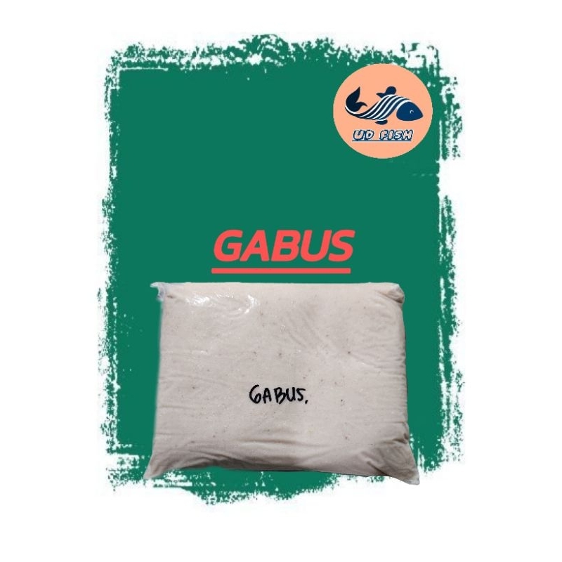 

IKAN GILING GABUS SEGAR 1KG