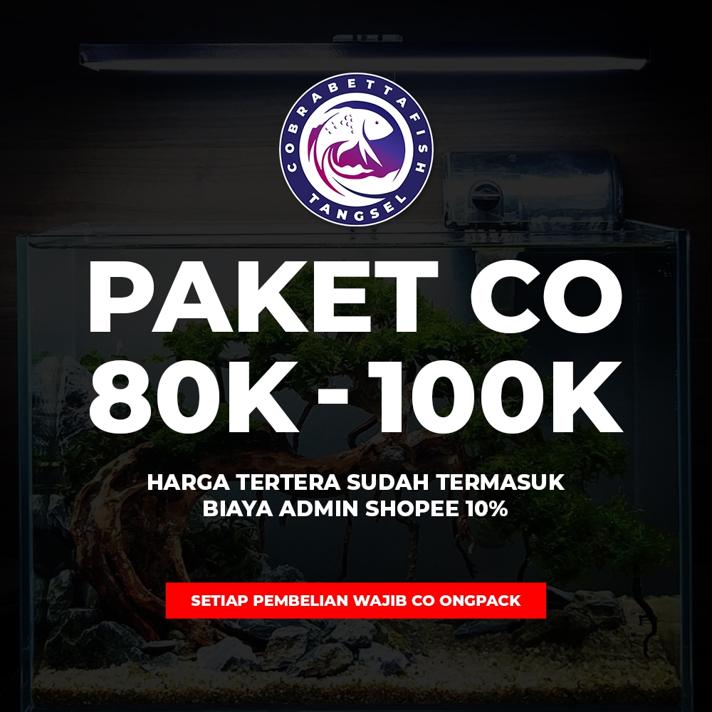

PAKET CO LIVE 80K - 100K + ADMIN 10%