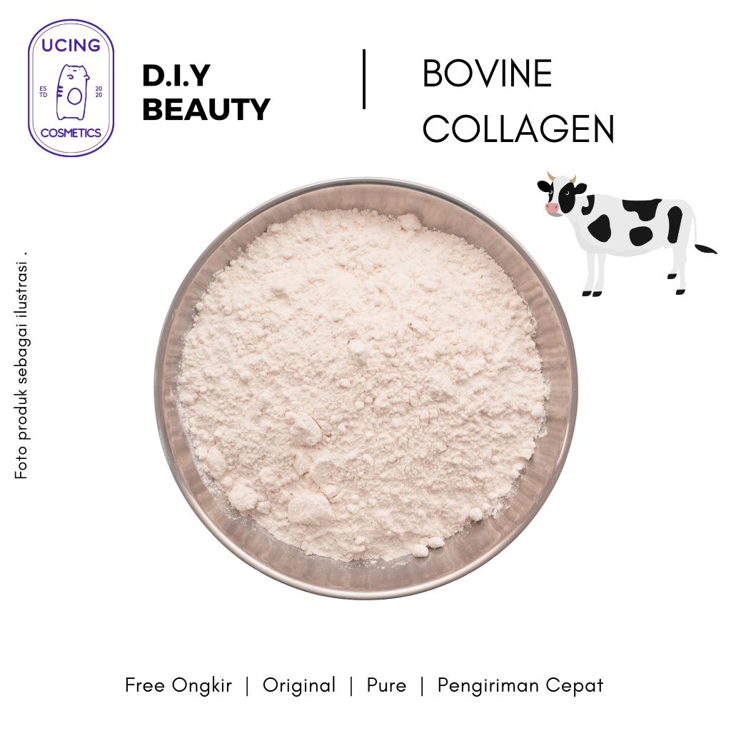 Hydrolyzed Bovine Collagen Food Grade Peptide Kolagen Sapi Bovine 100 gr