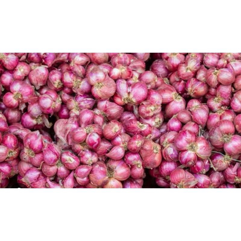 

Bawang Merah 1 Kg Asli Bojonegoro
