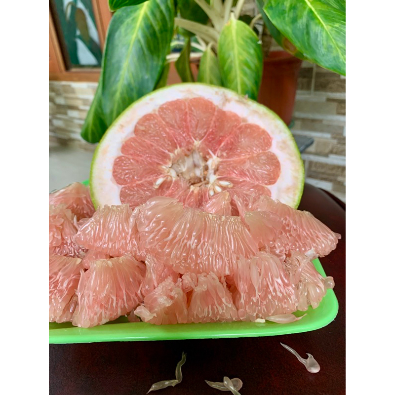 

jeruk Bali,Bali madu,jeruk manis,asli BAGENG 1,3kg
