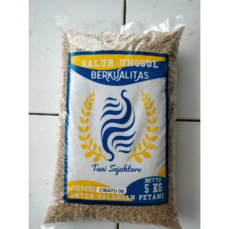 Benih bibit padi cibatu 06 kemasan 5kg Kemasan Original Murah Hasil Mantap galur unggul berkualitas
