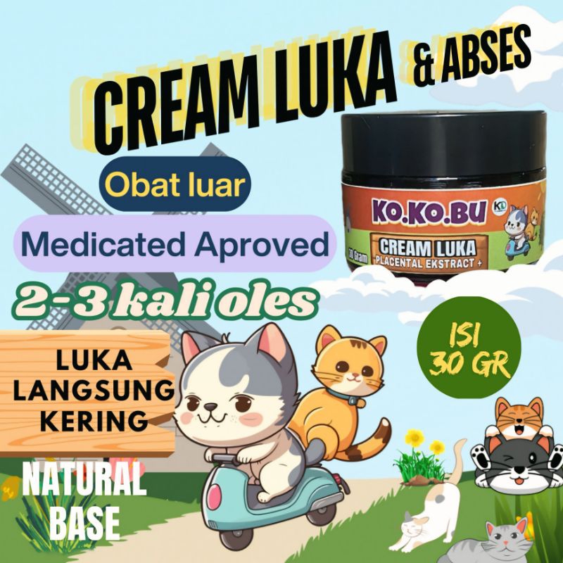 SALEP LUKA & ABSES KUCING | sembuhkan luka kucing