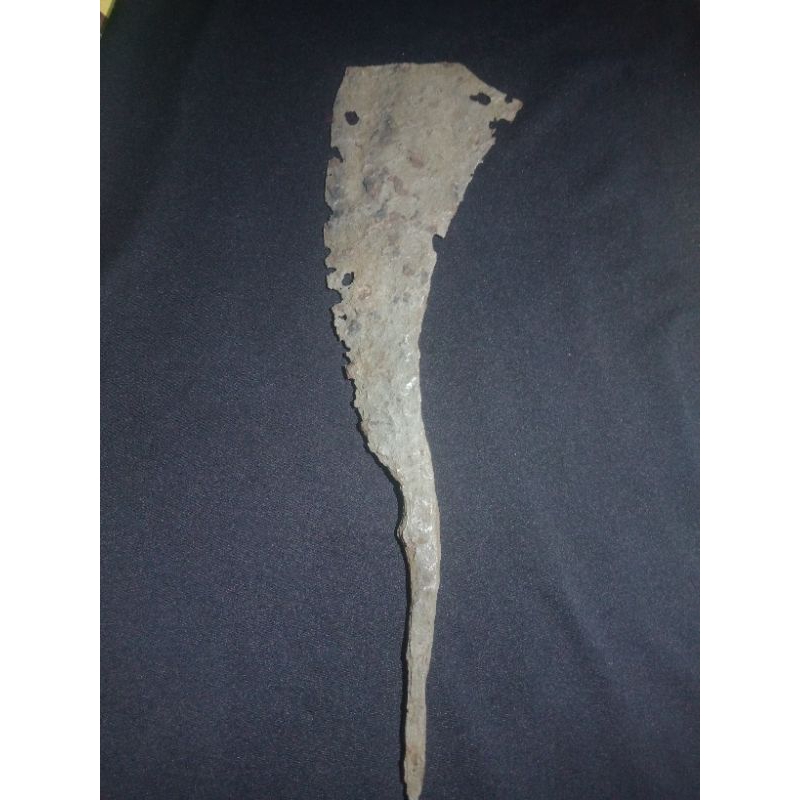 PUSAKA KUDI TEMUAN DARAT(TUS) Cocok untuk koleksi