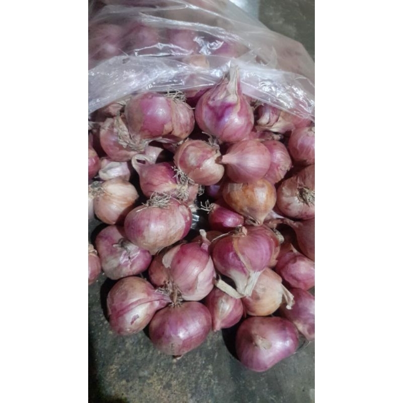 

Bawang merah