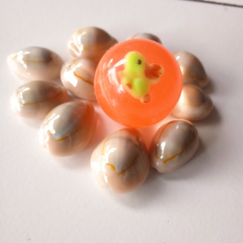 Mainan Anak Bola Kecil Bekel Set Kerang Putih