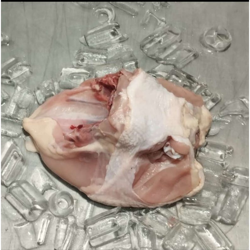 

Dada Ayam tanpa sayap