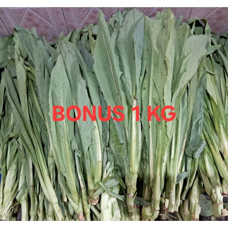 Fumak 1 kg + FREE BONUS 1 KG