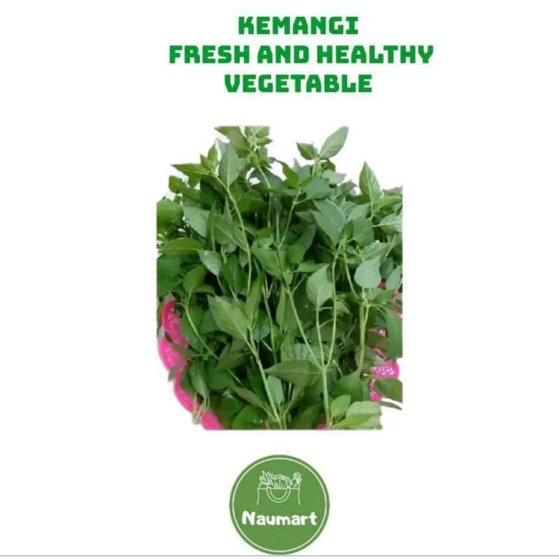 

KEMANGI 1 IKAT FRESH