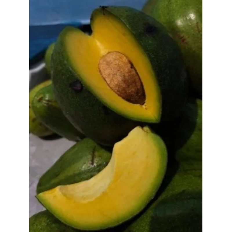 

Alpukat mentega markus