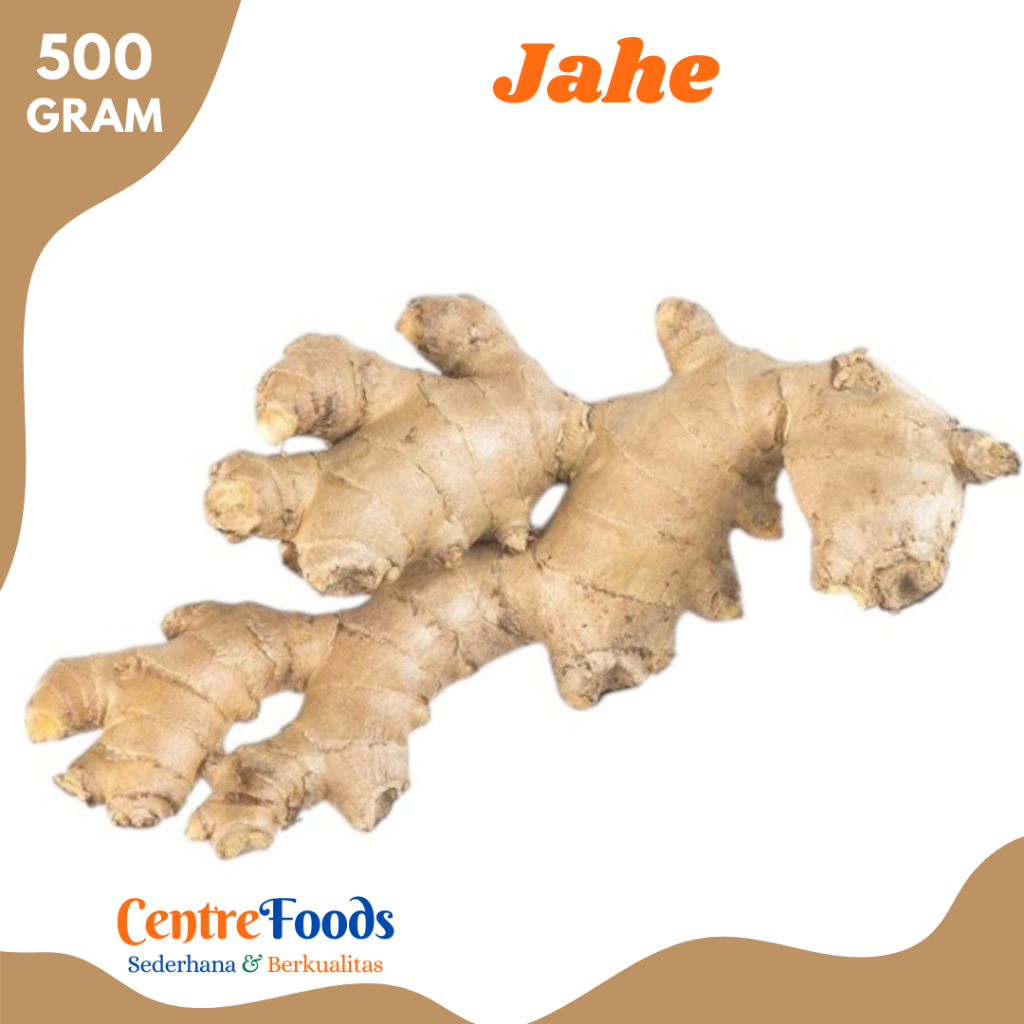 

JAHE Gajah - Jahe Putih Besar Fresh | 500gr [ Harga Per 0,5 Kg ]