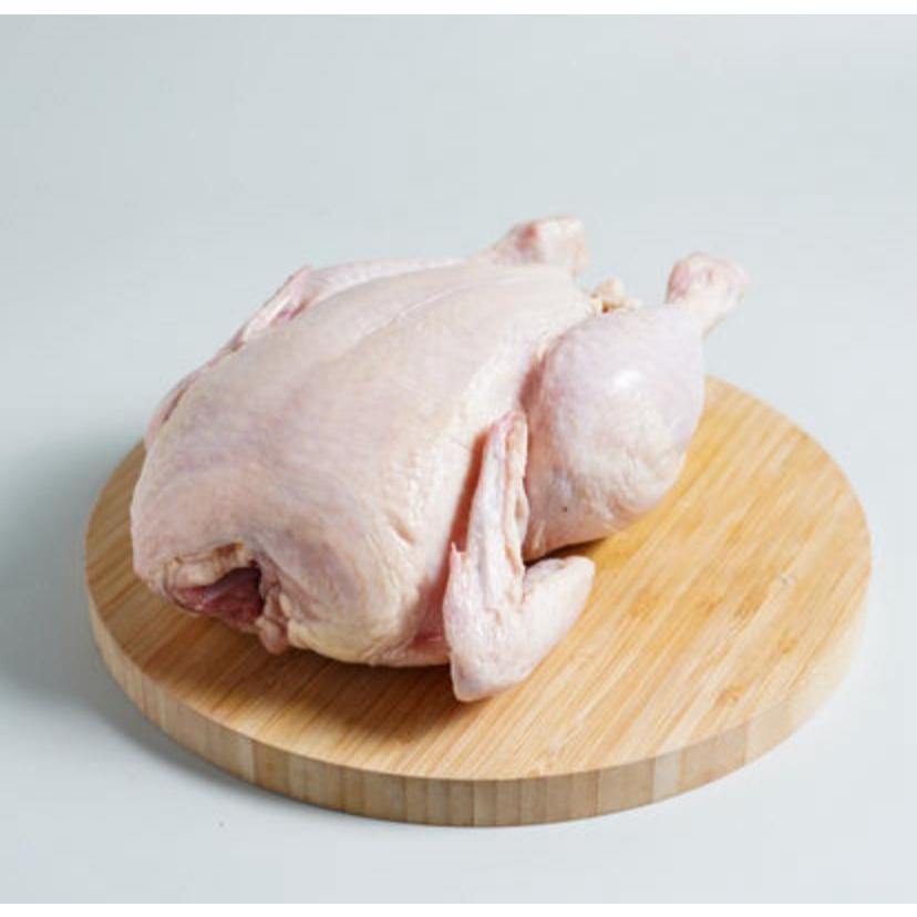 

Ayam Utuh Fresh dan Segar Premium Instan Surabaya