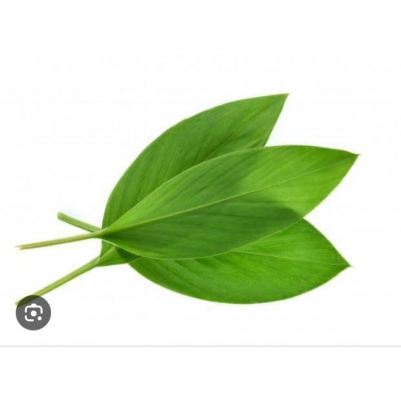 

DAUN KUNYIT SEGAR 500 g