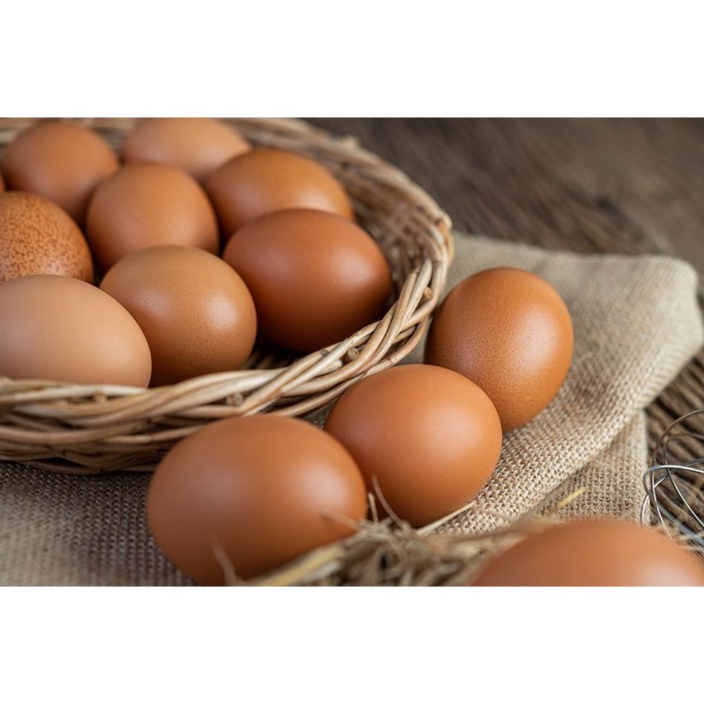 

Telur Ayam Bersih Segar