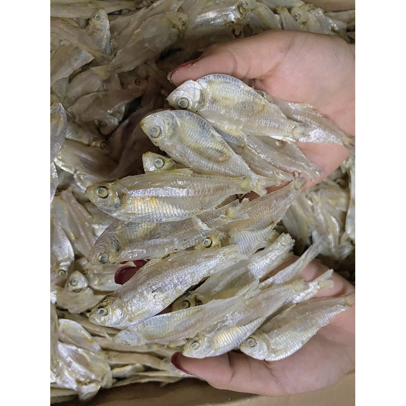 

Ikan asin kalapan kering