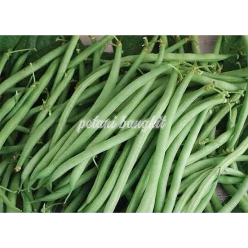 

sayur buncis premium 1kg fres