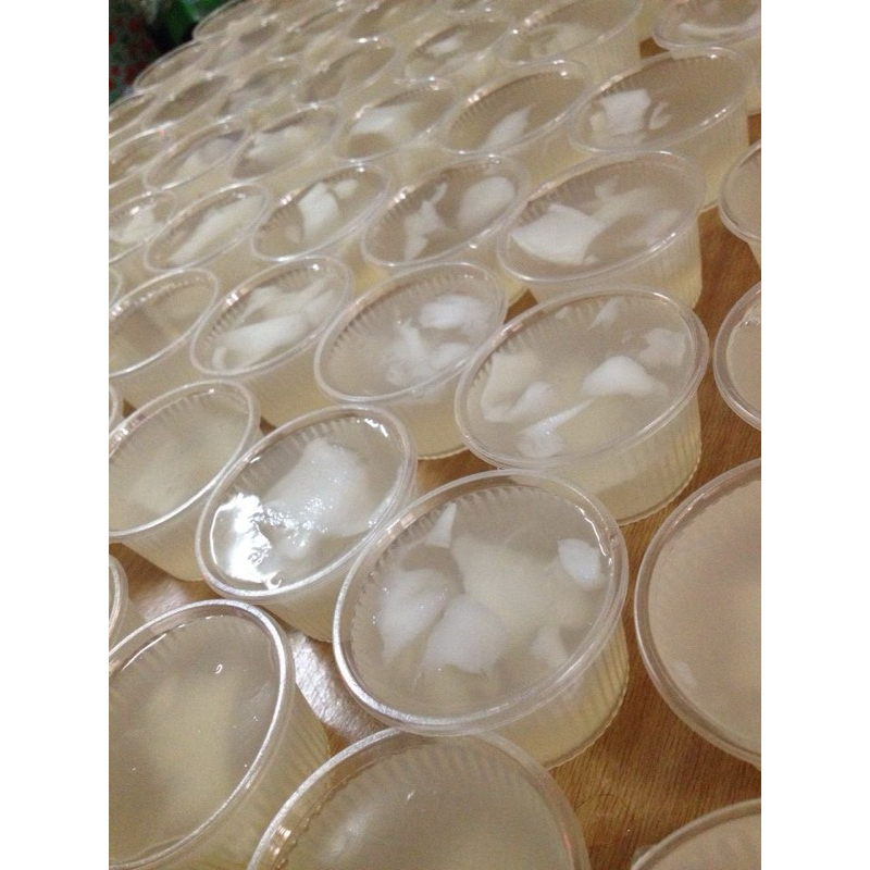 

Homemade Pudding Kelapa | Coconut Pudding
