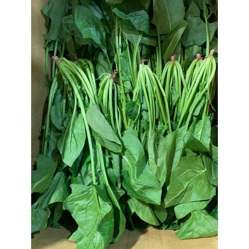 

Horenzo / Bayam Jepang 1kg