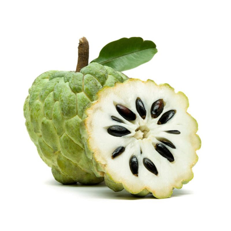 

srikaya mentah 1kg isi 2 3 4