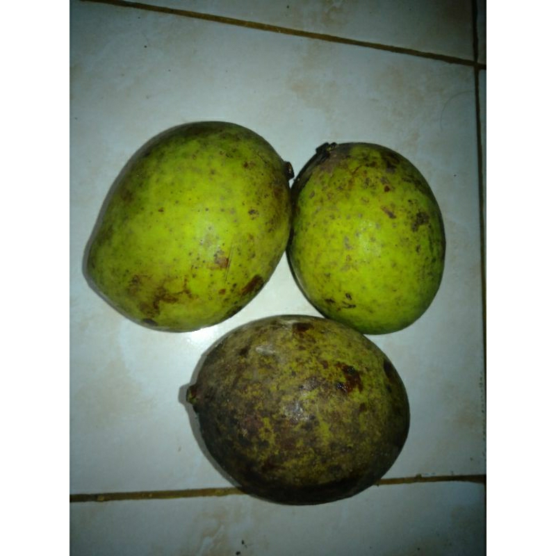 

Mangga Pakel segar