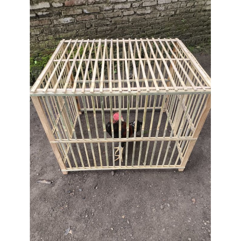 Kurungan Ayam Lipat Minimalis